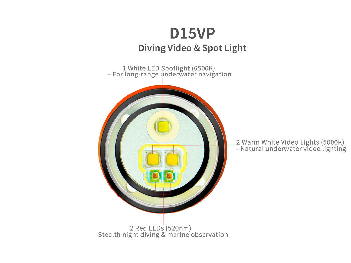 Archon D15VP Diving Video & Spot Light | White & Red Lights - 1,300 LM