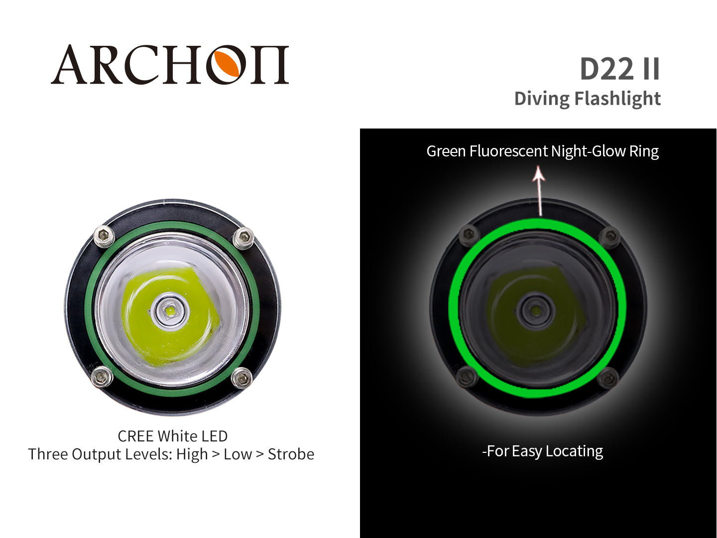 D22 II