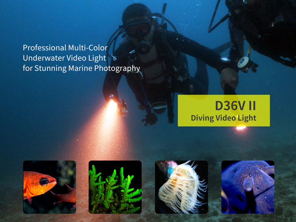 Archon D36V II Diving Video Light | White, UV, Red & Blue Lights - 6,000 LM